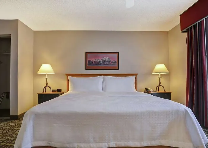 Homewood Phoenix-scottsdale Hotel 3*